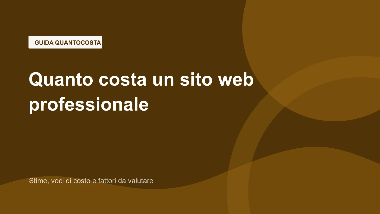 Immagine editoriale per quanto costa un sito web professionale?